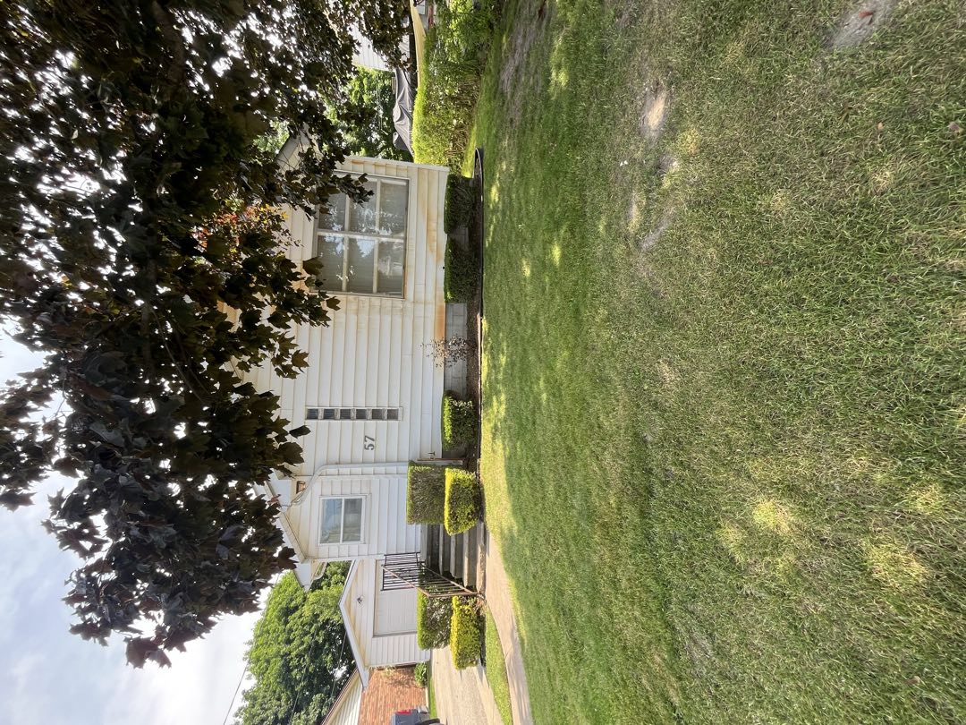 Dirty, streaked house front before soft washing