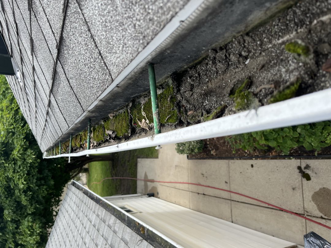 A gutter packed with moss and debris before cleaning